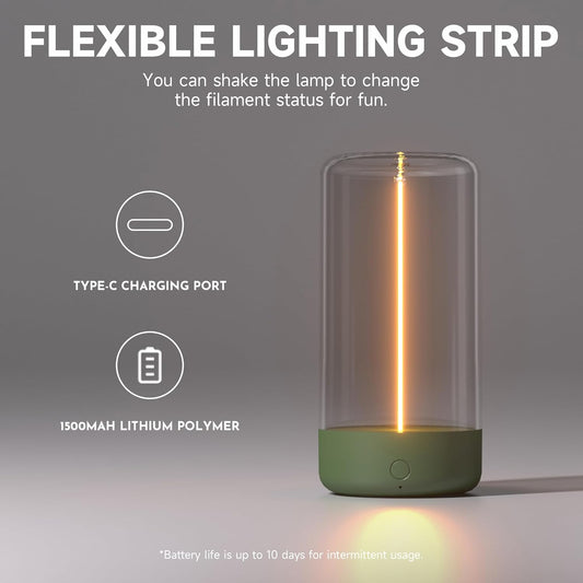 Rechargeable Modern Portable Lights  Lamps